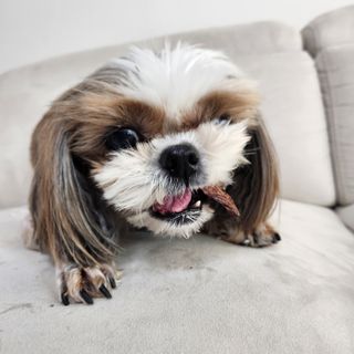 민준맘님이 올린 리뷰 사진 4