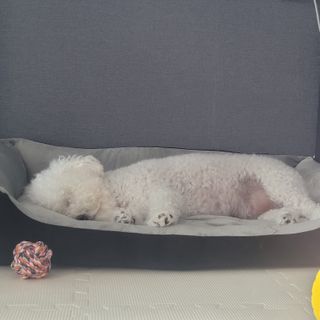 콩떡마미님이 올린 리뷰 사진 1