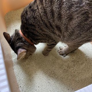 다정최님이 올린 리뷰 사진 3