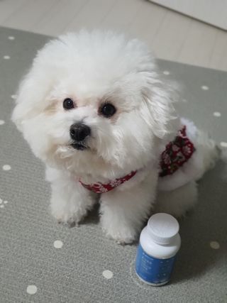 hyun♡님이 올린 리뷰 사진 2