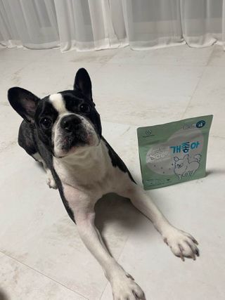 My Pet Care 천연단백질 눈건강에 개좋아 — 5점을 준 리뷰어가 2021년 1월 올린 사용 사진