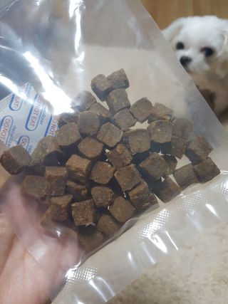My Pet Care 천연단백질 관절건강에 개좋아 — 5점을 준 리뷰어가 2021년 3월 올린 사용 사진