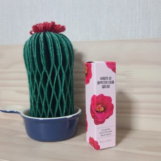 스킨큐어 바람의섬  동백 안티 링클 멀티밤 — 5점을 준 리뷰어가 2022년 10월 올린 사용 사진