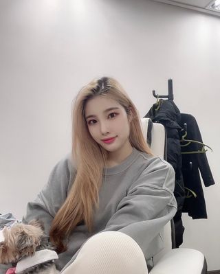 MAPLESYRUPFACTORY 메이플 피그먼트 맨투맨 8.COL — 3점을 준 리뷰어가 2022년 12월 올린 사용 사진