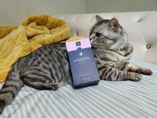 코코몰리 고양이 구강• 헤어볼 데일리 /신장• 요로 데일리 — 4점을 준 리뷰어가 2021년 3월 올린 사용 사진