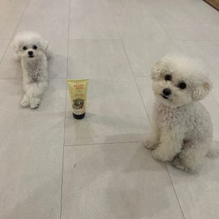 chaeny님이 올린 리뷰 사진 2