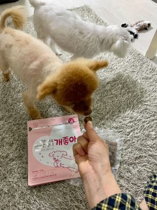 My Pet Care 천연단백질 관절건강에 개좋아 — 5점을 준 리뷰어가 2021년 2월 올린 사용 사진