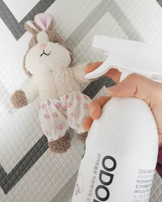 듀랑고님이 올린 리뷰 사진 4