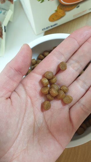 씨디랩 속이 편한 강아지 사료 소프트발란스 기호성 좋은 발효사료 피부와 위장 관절과 위장 — 4.5점을 준 리뷰어가 2021년 3월 올린 사용 사진