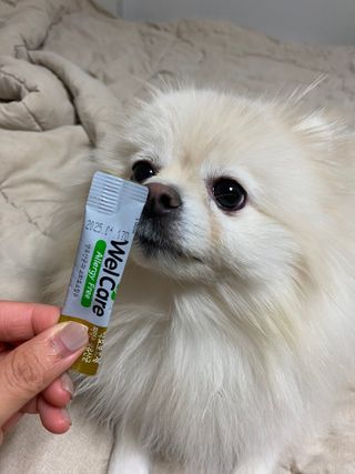 츄라님이 올린 리뷰 사진 4