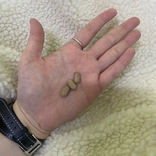 흰둥이님이 올린 리뷰 사진 2