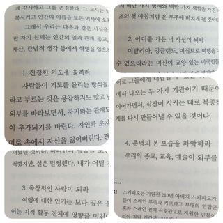 Gold Sunshine님이 올린 리뷰 사진 4