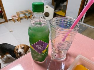 몽베스트 Montbest with Sparkling water Lemon OR Lime 20병(랜덤) — 5점을 준 리뷰어가 2021년 10월 올린 사용 사진