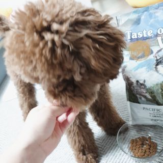 벼리님이 올린 리뷰 사진 4