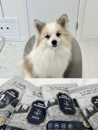 [푸디웜] 라포그 리얼인섹트 소프트키블 스킨 1KG — 5점을 준 리뷰어가 2022년 9월 올린 사용 사진
