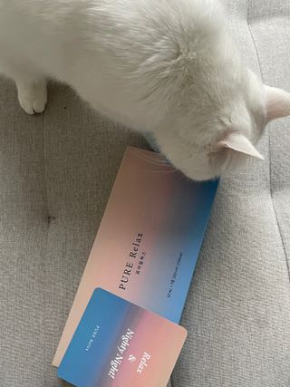 새콩님이 올린 리뷰 사진 4