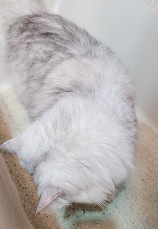 바이에이미님이 올린 리뷰 사진 3