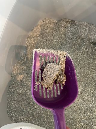 광고꾼님이 올린 리뷰 사진 3