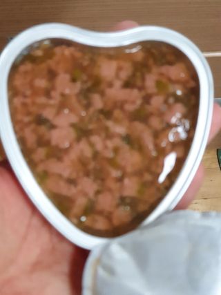 비타크래프트 조에시 하트캔 85g 강아지 습식캔 10캔 — 5점을 준 리뷰어가 2021년 9월 올린 사용 사진