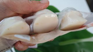 놀먹선생님이 올린 리뷰 사진 2