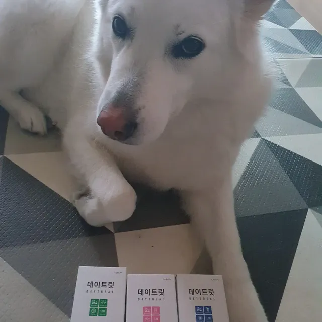 라포그 데이트릿 3종 리뷰 사진