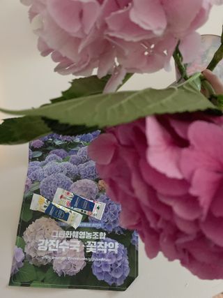 아이린지니님이 올린 리뷰 사진 4
