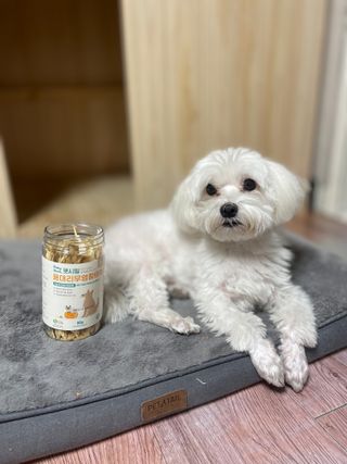 [펫시밀] 원물그대로 강원도 인제군 용대리 무염황태채 60g 강아지 고양이 프리미엄 수제간식 — 5점을 준 리뷰어가 2023년 11월 올린 사용 사진