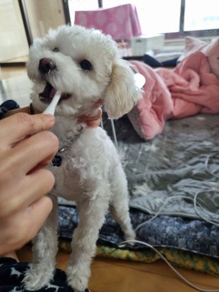귀요미두공주맘님이 올린 리뷰 사진 3