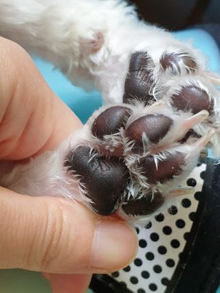 베베송이님이 올린 리뷰 사진 2
