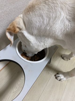 정봐기린님이 올린 리뷰 사진 2