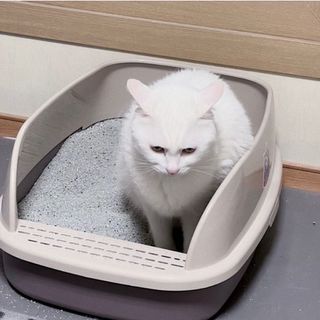 ㄹ진님이 올린 리뷰 사진 1