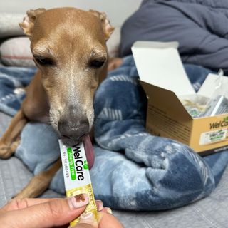 JeonEunju님이 올린 리뷰 사진 1