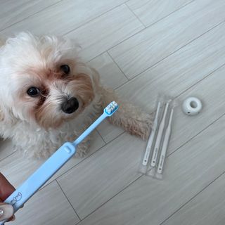 칸쵸님이 올린 리뷰 사진 3