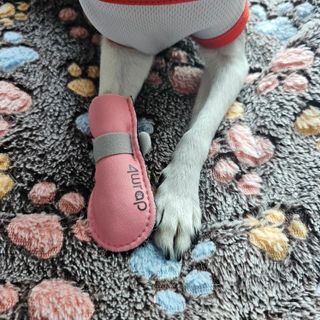 썽이mom앙꼬님이 올린 리뷰 사진 1
