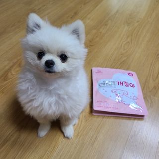 쏘쏘맘님이 올린 리뷰 사진 2