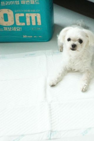 희온느님이 올린 리뷰 사진 3