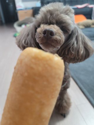 나초단맘님이 올린 리뷰 사진 3