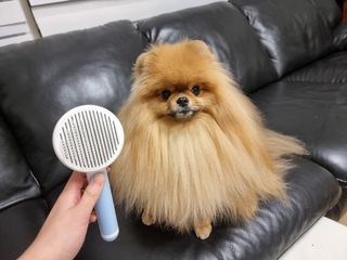 아롱이님이 올린 리뷰 사진 2