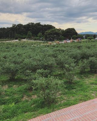 하뚱맘님이 올린 리뷰 사진 4