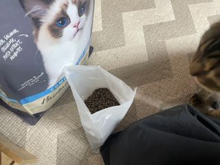 랑구마미님이 올린 리뷰 사진 2