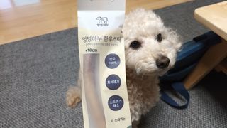 새돌댕댕님이 올린 리뷰 사진 3