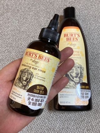버츠비 케어플러스 릴리빙 이어린스 — 4.5점을 준 리뷰어가 2021년 6월 올린 사용 사진
