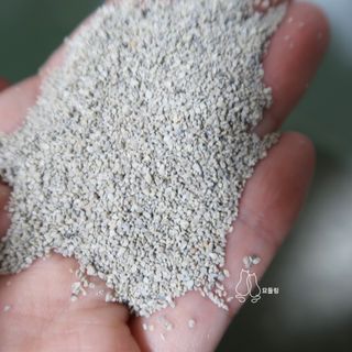 묘들링님이 올린 리뷰 사진 2
