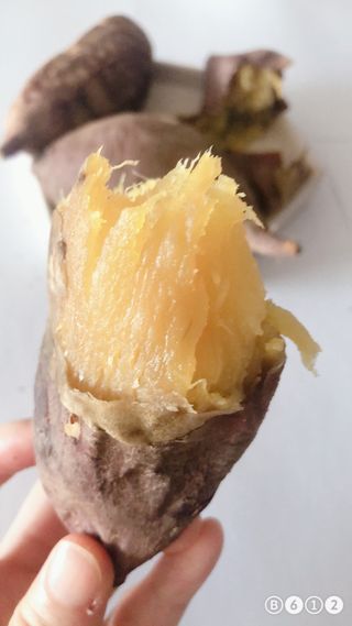 디자인님이 올린 리뷰 사진 1