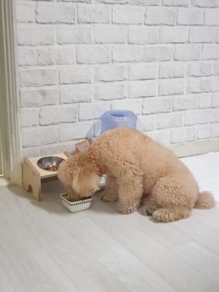 차세라님이 올린 리뷰 사진 3