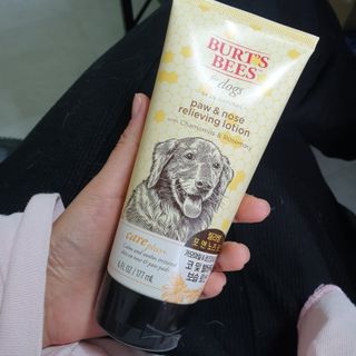 정예뿜님이 올린 리뷰 사진 1