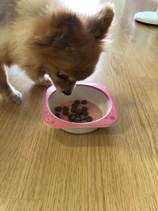 다솜다빈이아빠님이 올린 리뷰 사진 3