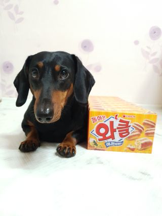히이잇님이 올린 리뷰 사진 4