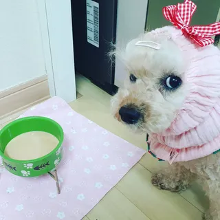 미니코코님이 올린 리뷰 사진 3