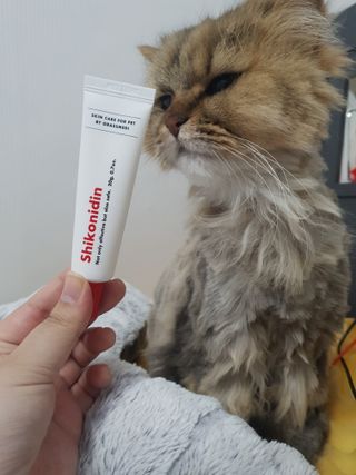 [자유펫] 시코니딘 고양이 강아지 피부 보습 연고 20g — 5점을 준 리뷰어가 2021년 11월 올린 사용 사진